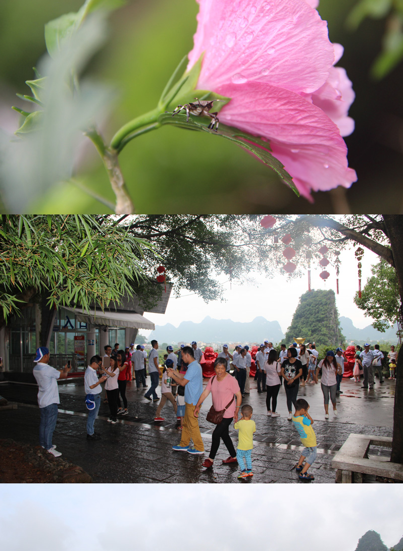 公司十周年厂庆桂林之旅_05.png